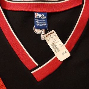 Red and black Chicago bulls